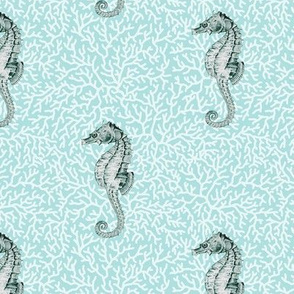 Seahorses on Coral Blue