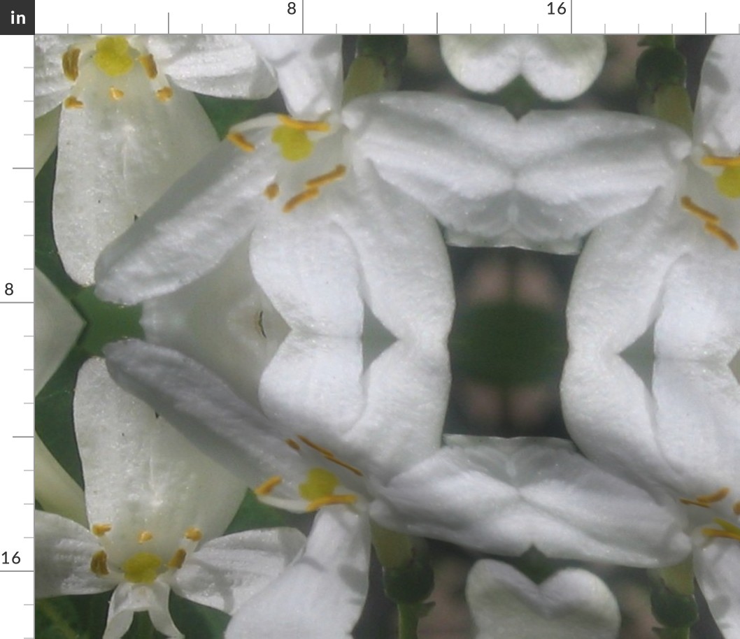 white flowers