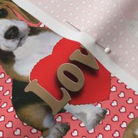 Beagle_Puppy_Valentine