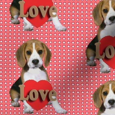 Beagle_Puppy_Valentine