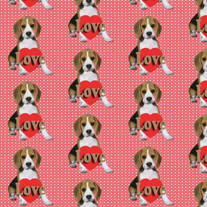Beagle_Puppy_Valentine