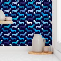 Blue boy doxie dog dachshund illustration pattern