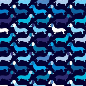 Blue boy doxie dog dachshund illustration pattern
