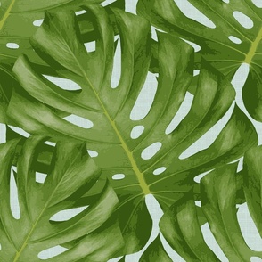Monstera Leaf 
