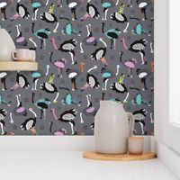 Fun retro birds design ostrich zoo design