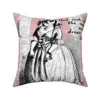 That Owl Thinks She's A Poetess ~ Cut and Sew Pillow