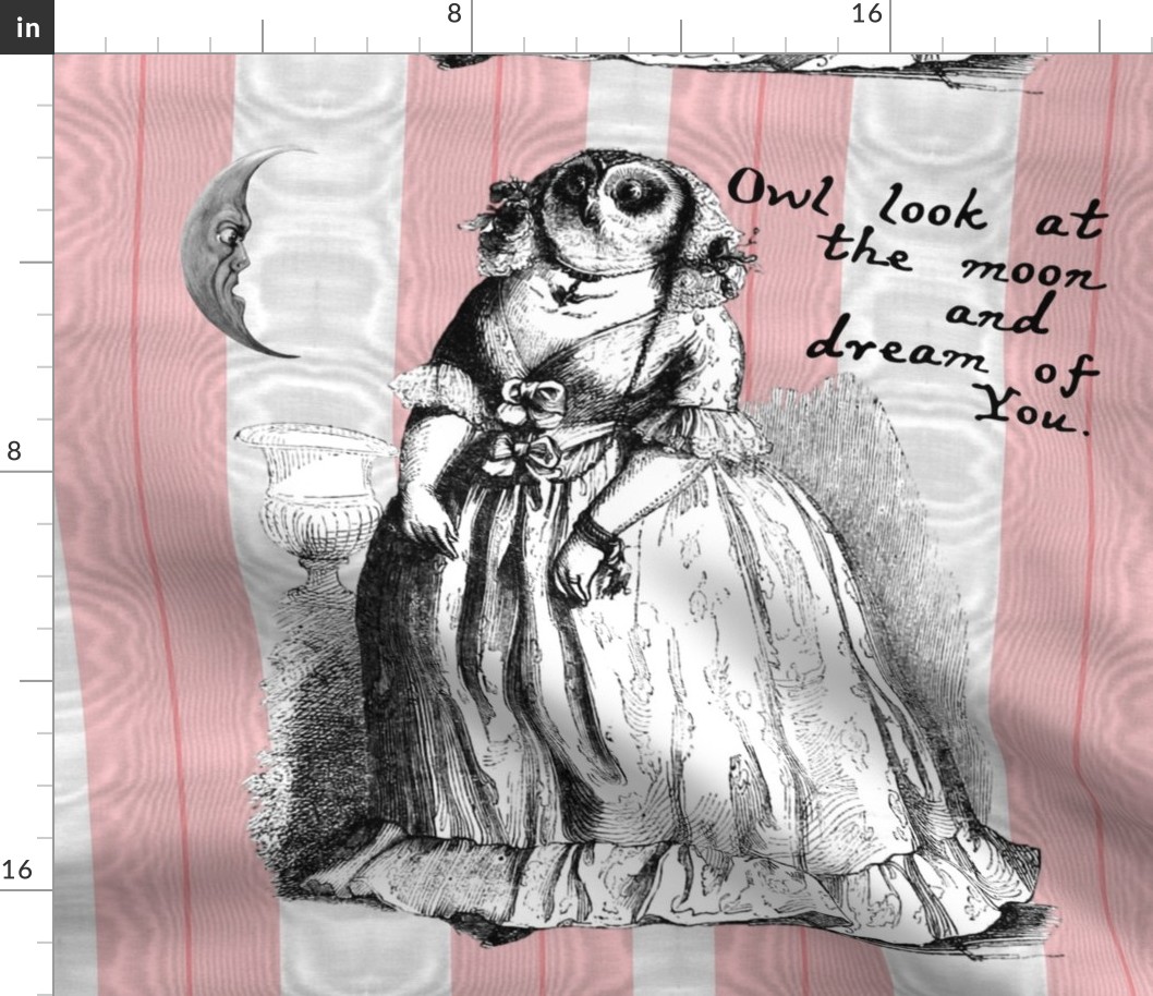 That Owl Thinks She's A Poetess ~ Cut and Sew Pillow