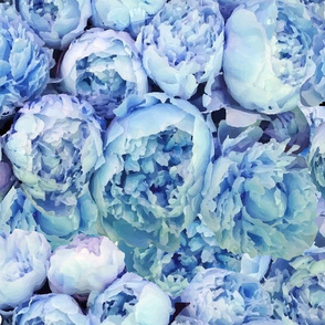 Blue Peony