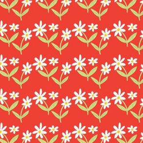 Daisies on red