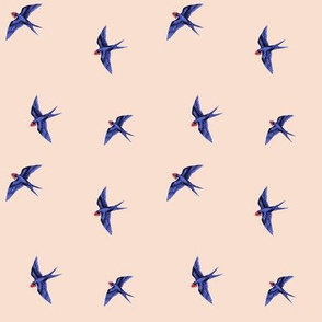 Swooping Swallows, Blush