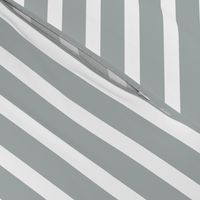 Stripes in Paloma Grey