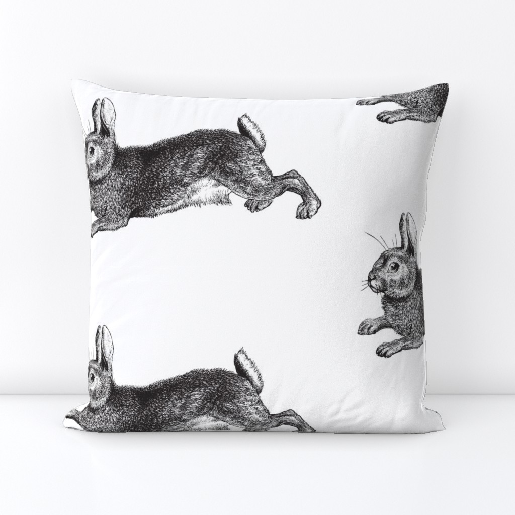 Big Bunny Rabbit Engraving