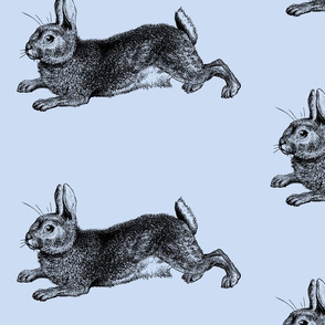 Blue Bunny Rabbit Engraving