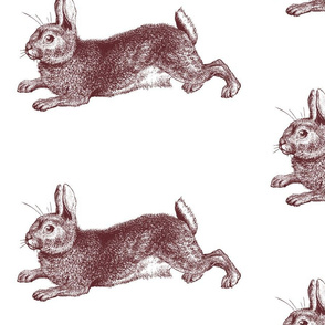 Big Bunny Rabbit Engraving Brown