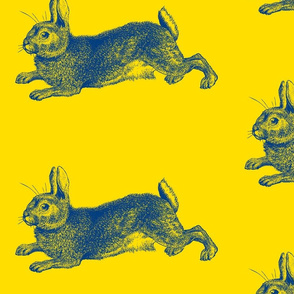 Blue Bunny Rabbit Engraving Blue on Yellow-ch