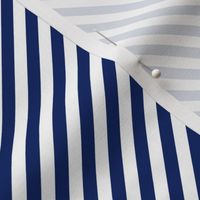 Diagonal Stripes - Cobalt Blue