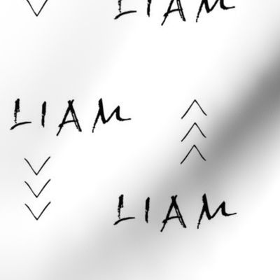 liam