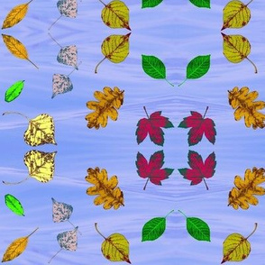 Floating Leaves 2