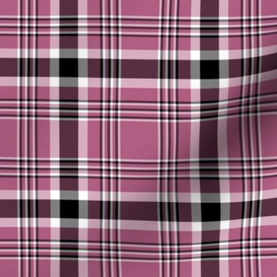 Orchid Tartan