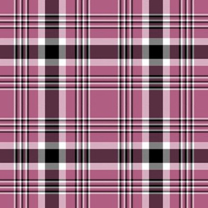 Orchid Tartan