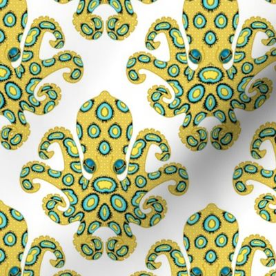 Blue Ringed Octopus on White