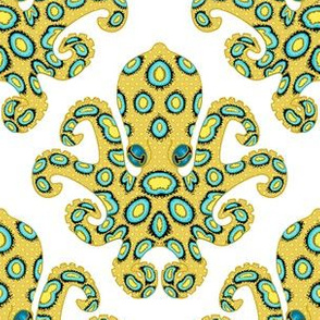 Blue Ringed Octopus on White