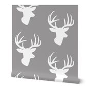 White deer on grey