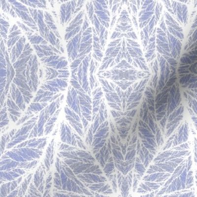 White Leaf Veins on Blue © Gingezel™