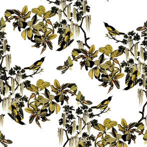 PRINT_Finches_Flat