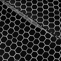 Black and White Hexagon, Honeycomb, Beehive