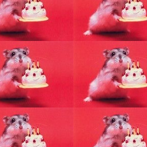 Hamster Birthday Paper