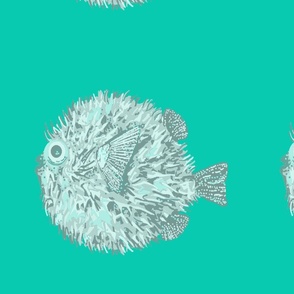 One_Blowfish_on_Teal
