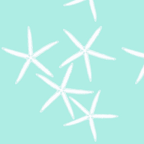 White starfish on sea 