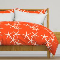 Starfish Bright Orange