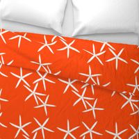 Starfish Bright Orange