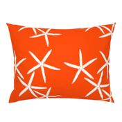 Starfish Bright Orange