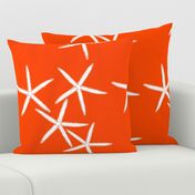 Starfish Bright Orange