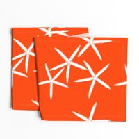 Starfish Bright Orange