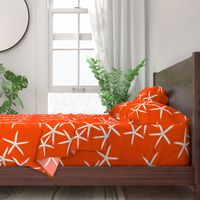 Starfish Bright Orange