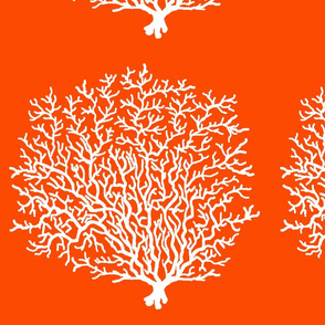 Coral Reef Orange