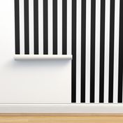 2.5 inch wide Black and White Stripes