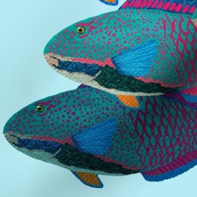 Parrotfish on pale blue (LARGE) by Su_G_©SuSchaefer
