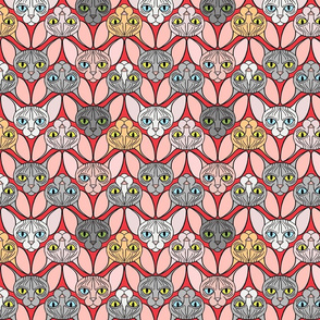 Sphynx Cat Chevron Red Background