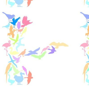 birds multicolor