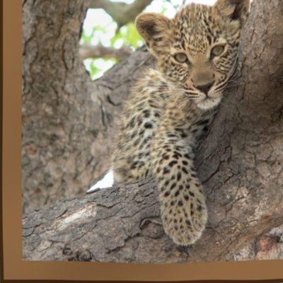 Big Cat on Tree