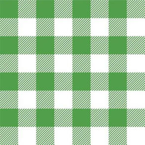 Gingham Green One