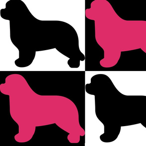 Black and Pink Newfoundland