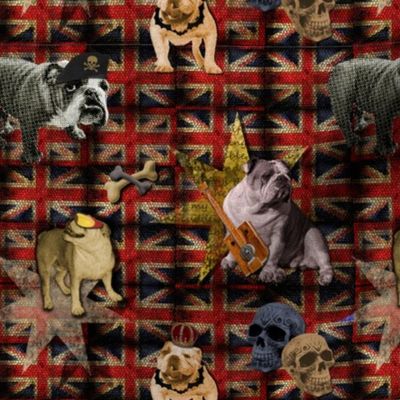English Bulldog goes British