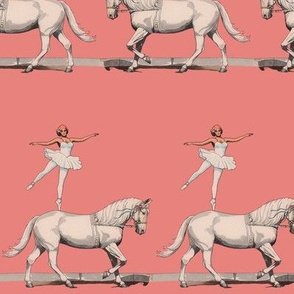 ballerinas and ponies