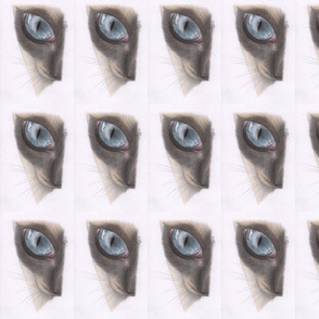 Siamese Cats Eye